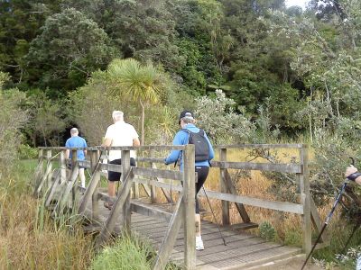 Le Roys Bush Walking Tour