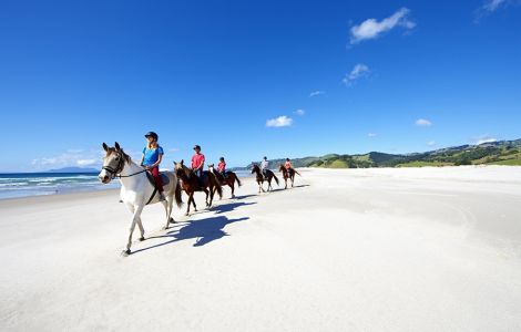 Pakiri 
